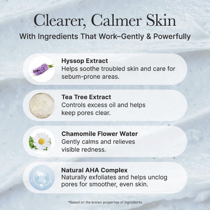 Hyssop Sebum Control Rice Cake Cleanser 150ml