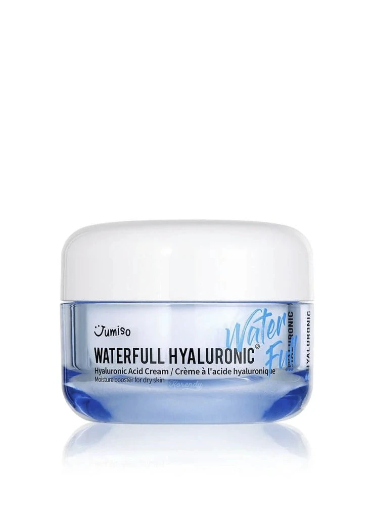 Waterfull Hyaluronic Acid Cream 50ml