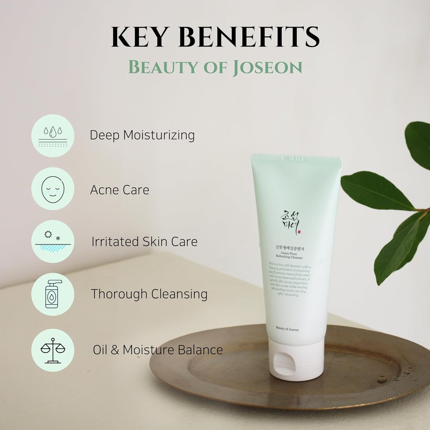 Green Plum Refreshing Cleanser 100ml