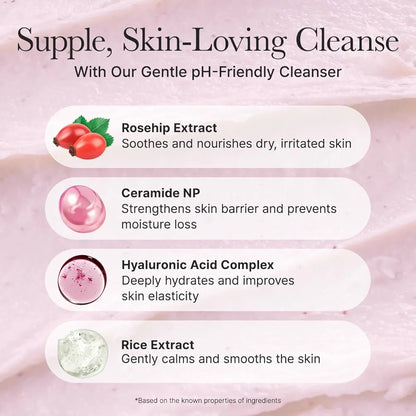 Rosehip Mild pH Balancing Rice Cake Cleanser 150ml