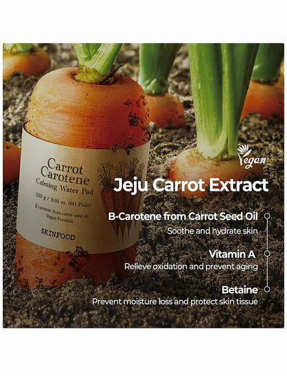 Carrot Carotene Calming Water Pad 60 Pcs
