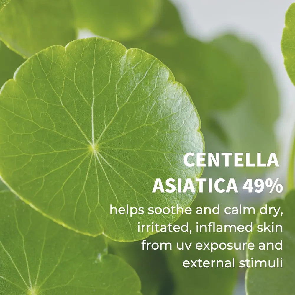 Centella Calming Daily Sunscreen SPF 50+ 60ml